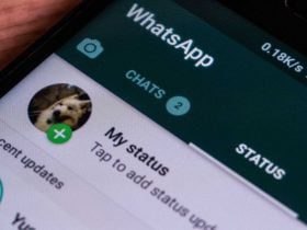 Download Status Whatsapp Video dan Gambar Diponsel