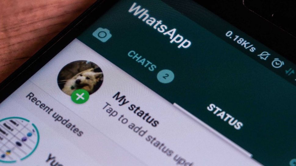 Download Status Whatsapp Video dan Gambar Diponsel